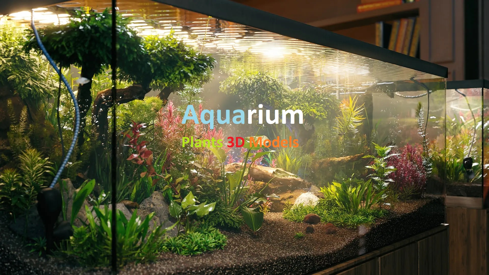 Aquarium Plants 3D Models